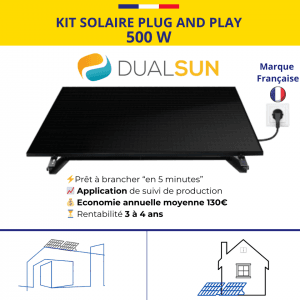 Kit Panneau solaire Dual Sun 500 W
