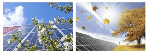 Panneaux solaires en printemps et à l'automne-Solis innov nettoyage